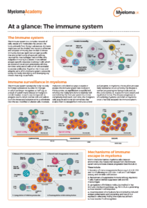 myeloma-uk-at-a-glance-the-immune-system
